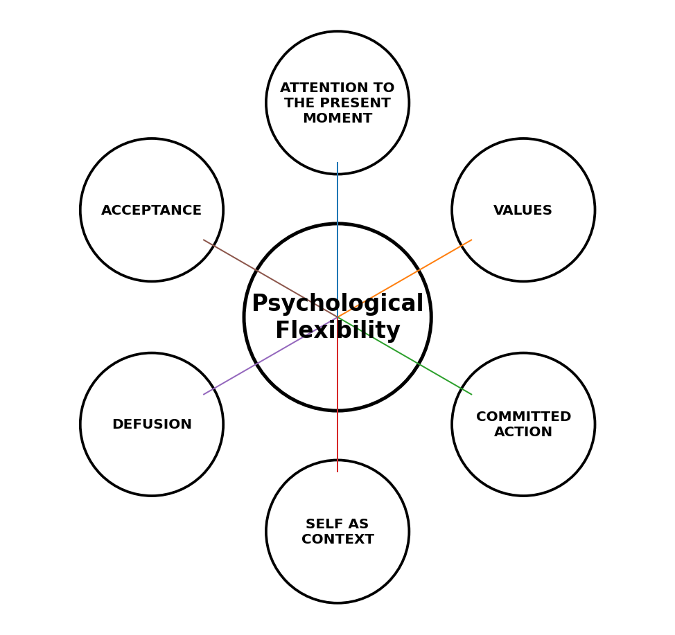 A model encompassing six key processes that support its development