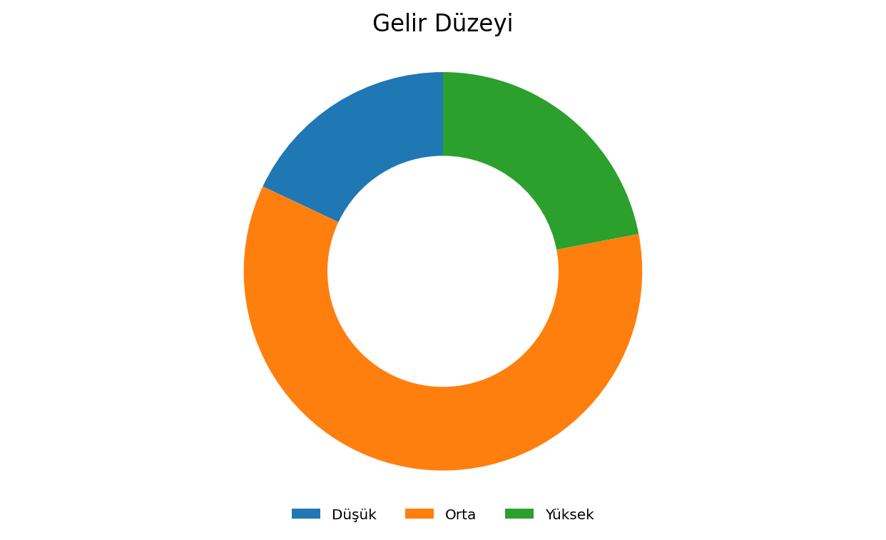 Grafik 4: Gelir düzeyine ilişkin yüzde bilgisi