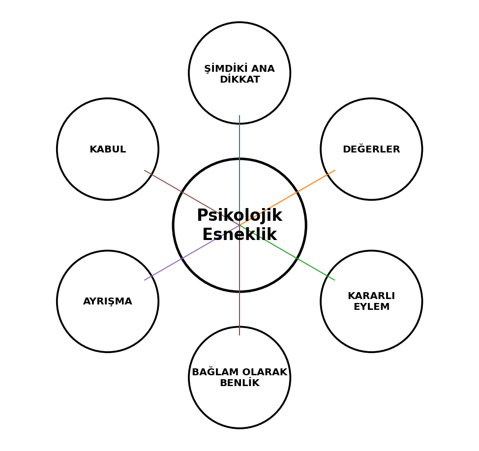 Gelişimini destekleyen altı temel süreci kapsayan bir model